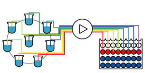 fraction graph dissolution