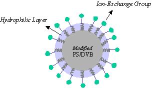 sepax graph