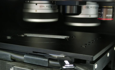 platine microscope UV